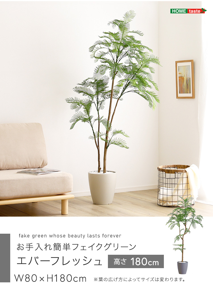 エバーフレッシュ フェイクグリーン 高さ180cm 観葉植物 フェイク 大型