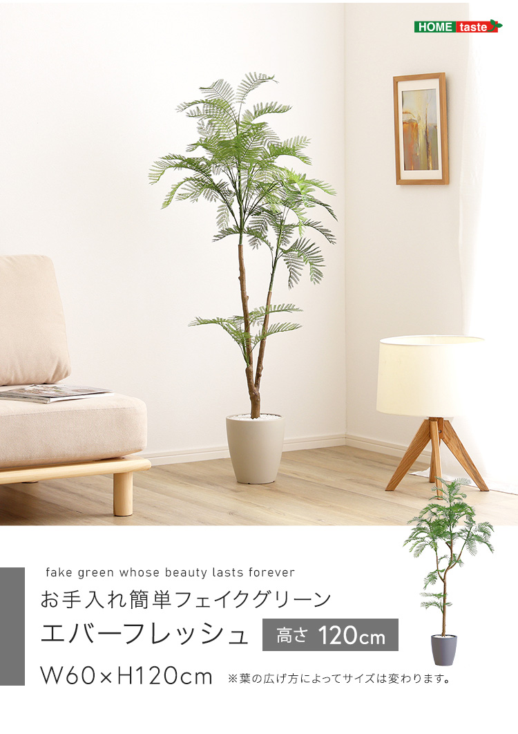 フェイクグリーン 観葉植物 エバーフレッシュ リアル 鉢付き おしゃれ
