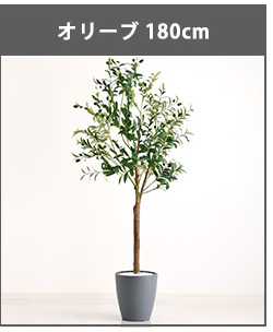 フェイクグリーン 観葉植物 エバーフレッシュ リアル 鉢付き おしゃれ