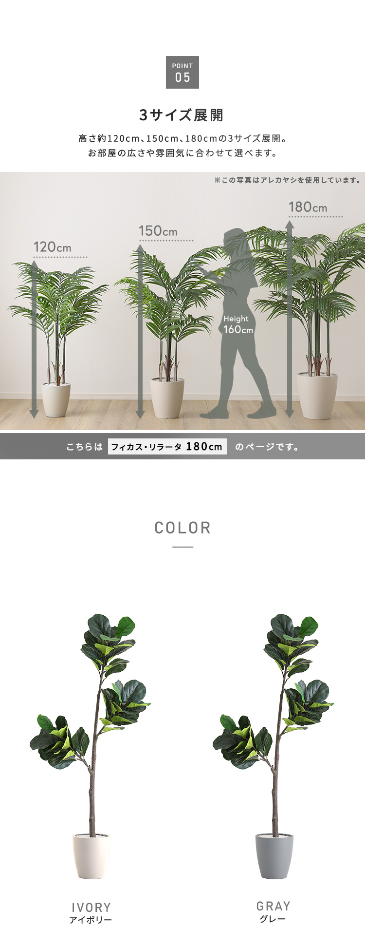 フィカス リラータ フェイクグリーン 高さ180cm 観葉植物 フェイク