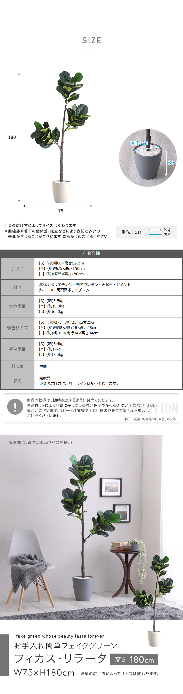 お手入れ簡単 フェイクグリーン フィカス・リラータ Lサイズ 180cm 鉢
