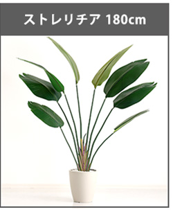 フェイクグリーン 観葉植物 モンステラ リアル 鉢付き おしゃれ 人工