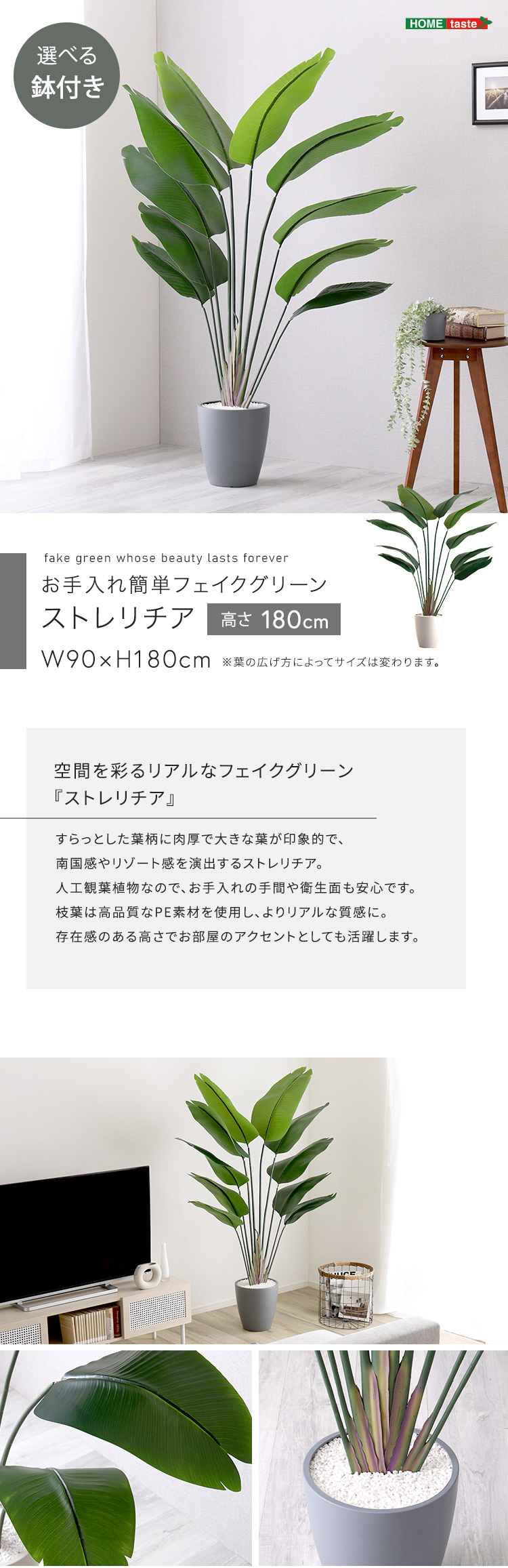 ストレリチア フェイクグリーン 高さ180cm 観葉植物 フェイク 大型 