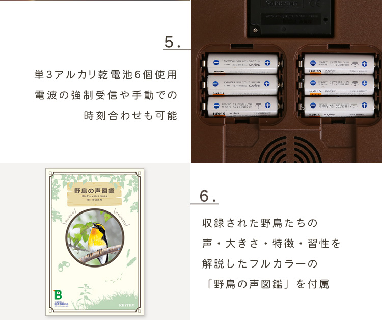 掛け時計 四季の野鳥が鳴く時報クロック 野鳥の声図鑑同梱 電波時計