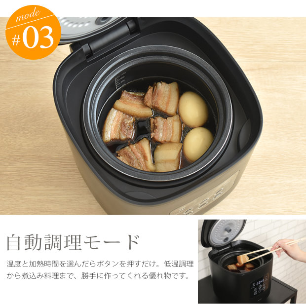 plus more サラダチキンがつくれる糖質カット炊飯器 炊飯ジャー 自動調理 多機能 コンパクト おしゃれ家電 ライスクッカー 低糖質 糖質制限  玄米 無洗米 : 05208087 : 手芸材料の通販シュゲールYahoo!店 - 通販 - Yahoo!ショッピング