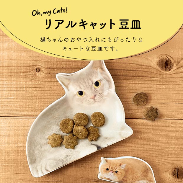 リアルキャット豆皿 小皿 お皿 ねこ 猫 ネコ 陶器 テーブルウェア