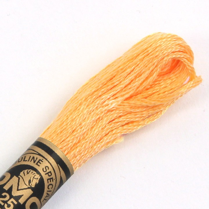 刺繍 刺しゅう糸 Anchor 25番 イエロー・ブラウン・オレンジ系 1