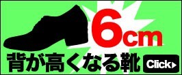 6cm背が高くなる靴