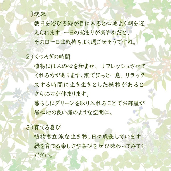 テレビ台 ローボード ガラス天板 ガラス棚 コンパクト 古木風 幅100