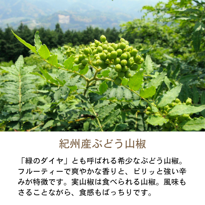 生鮮 実山椒 500g 100%紀州ぶどう山椒 山本勝之助商店 産地