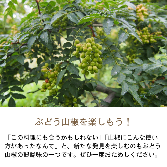 天然山椒の実、馬ブドウ、青ぼっくり、赤松新芽　セットクール便　青森産 2570101050a01.jpg