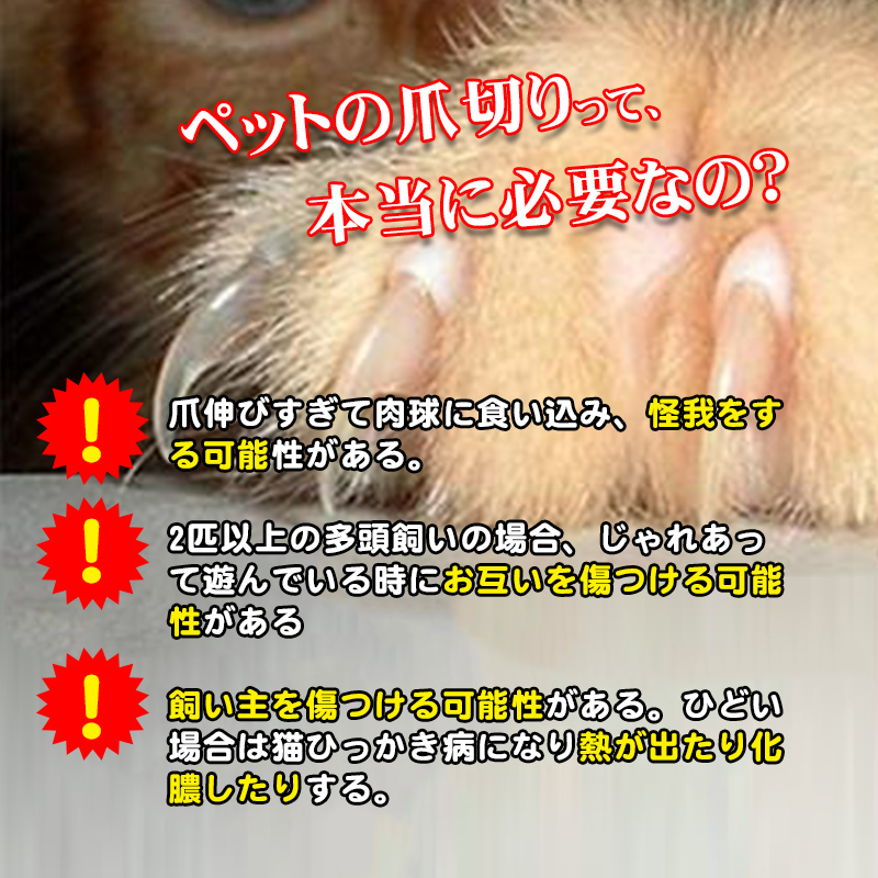 ペット用 爪切り 猫 犬 爪切り ペット用爪切り 高輝度 LEDライト付き ネイルックカッター 切りやすい 切りすぎ防止 飛び散りガード ヤスリ付き  小型犬 中型犬 :YYSYPET213:しゅうストア - 通販