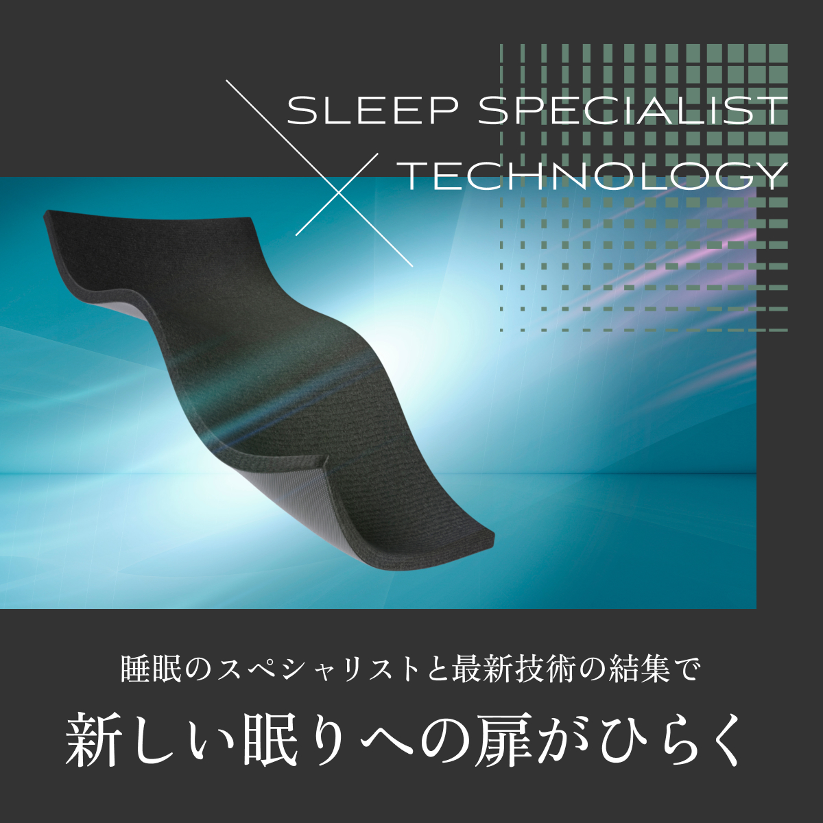 GOKUMIN のせるだけ 身体の負担ゼロ 低反発マットレス THE G-Pur