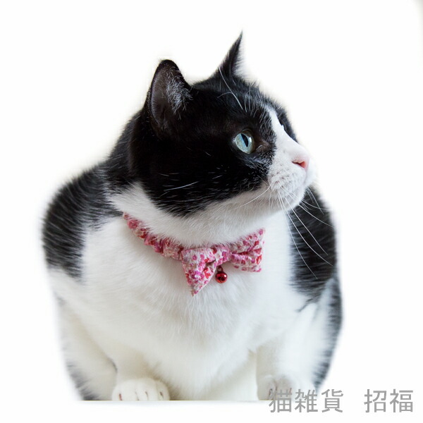 猫 首輪 シュシュ リボン 鈴 セーフティ おしゃれ かわいい ねこ ネコ