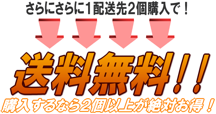 玉葱　送料無料　通販　泉州　大阪　たまねぎ 射手矢