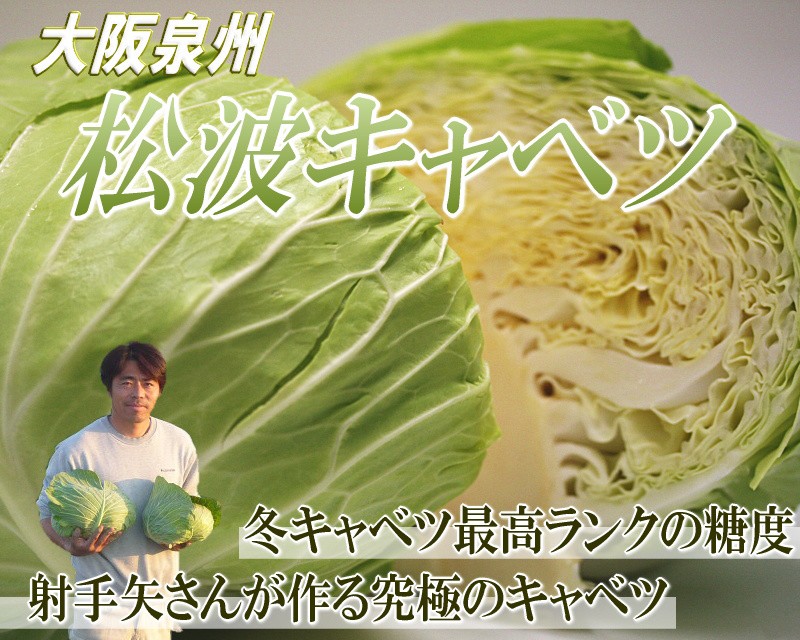 キャベツ　野菜　送料無料