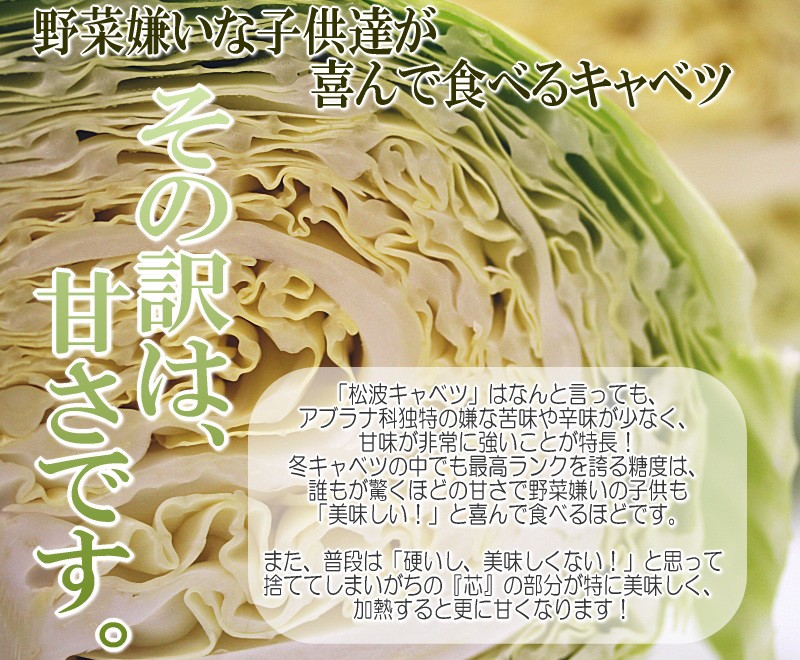 キャベツ　お取り寄せ　生産者　野菜　ベジタブル