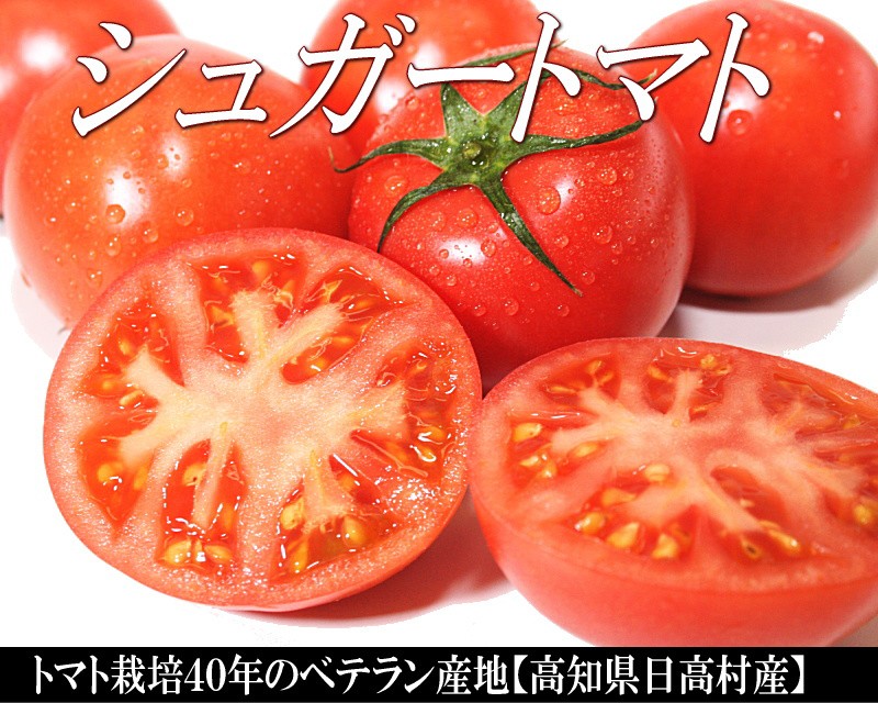 シュガートマト　トマト　とまと　通販　送料無料　高知県　日高村
