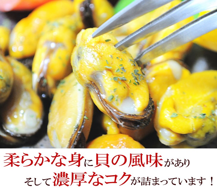 ムール貝　パスタ　パエリア　シチュー　グラタン　健康　送料無料　通販　保存