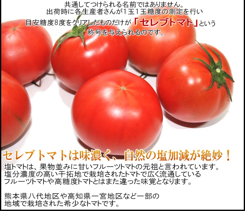 トマト　塩トマト　熊本産　セレブトマト　通販　送料無料