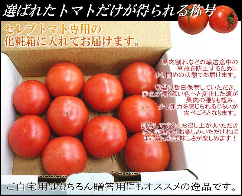 トマト　塩トマト　熊本産　セレブトマト　通販　送料無料