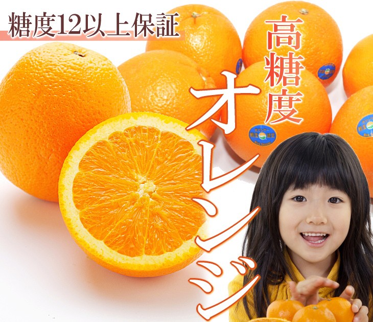 オレンジ　ネーブルオレンジ　高糖度オレンジ　カルフォルニア　高糖度