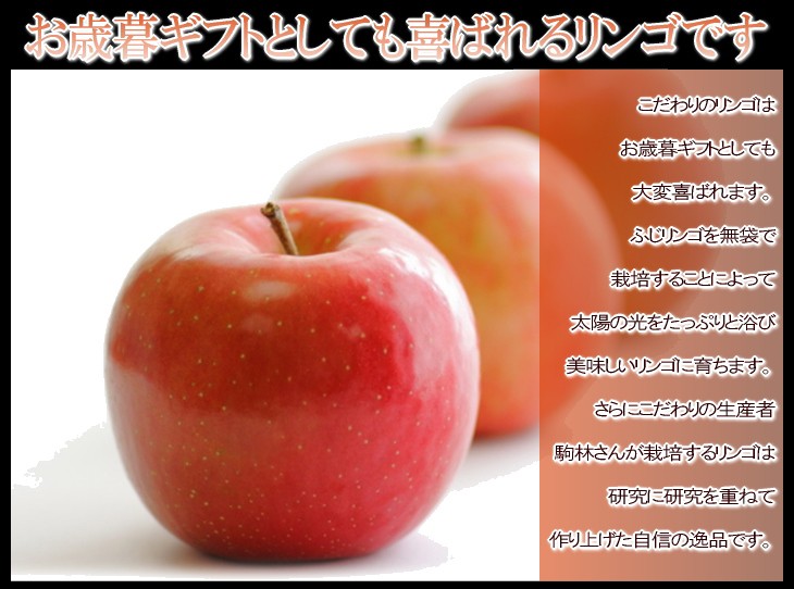 サンふじ　リンゴ　林檎　りんご　山形　通販　送料無料　遅もぎ