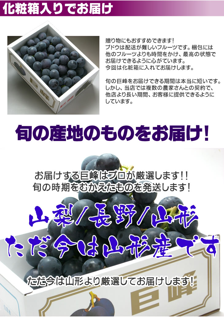 巨峰　山梨　長野　山形　ぶどう　送料無料　お取り寄せ　旬　大粒　産地直送