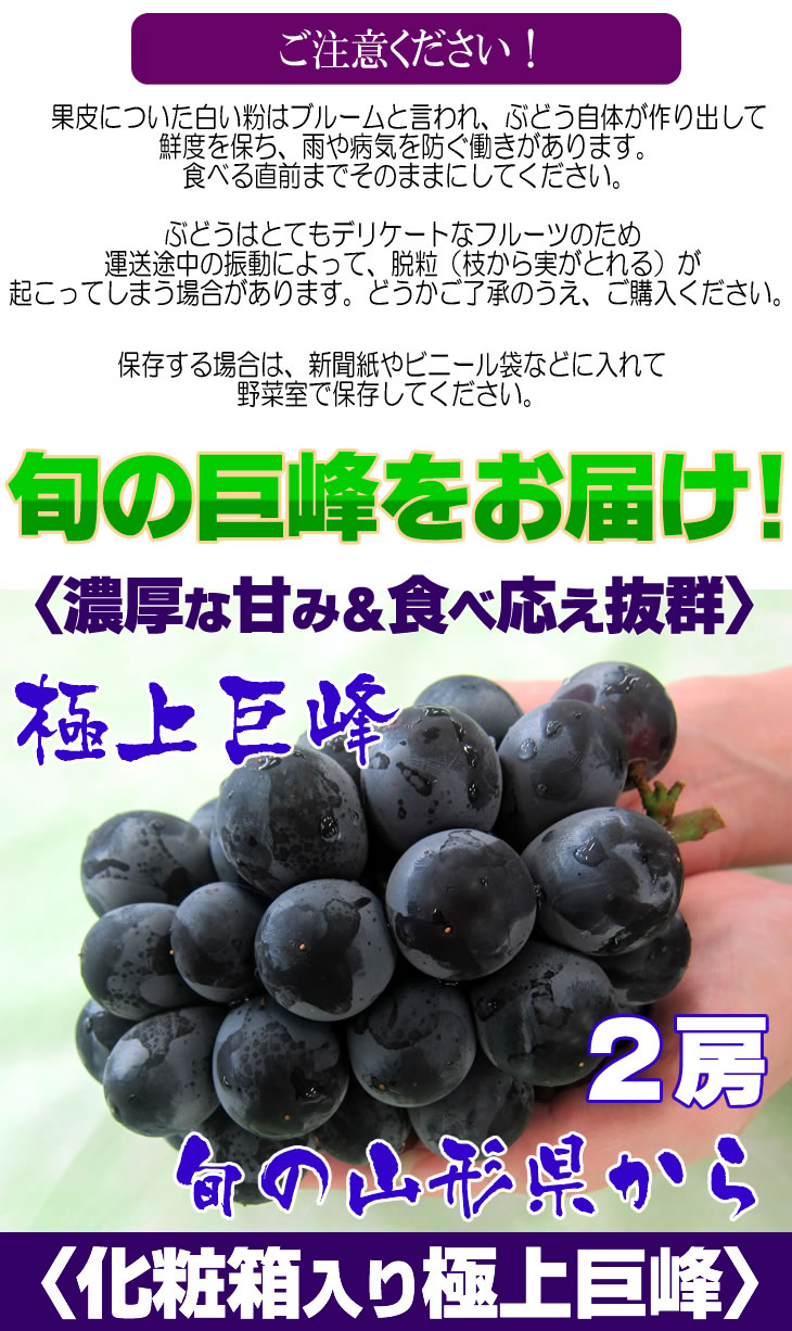 巨峰　山梨　長野　山形　ぶどう　送料無料　お取り寄せ　旬　大粒　産地直送