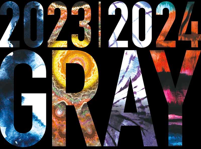GRAY グレイ 23-24 SHRED シュレッド 2023-2024 スノボ スノーボード 