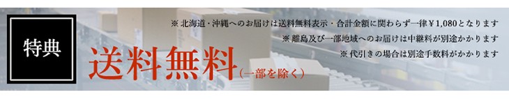 NOBRAND サーフボード ノーブランド ZACK ザック サイズ:7'4 カラー