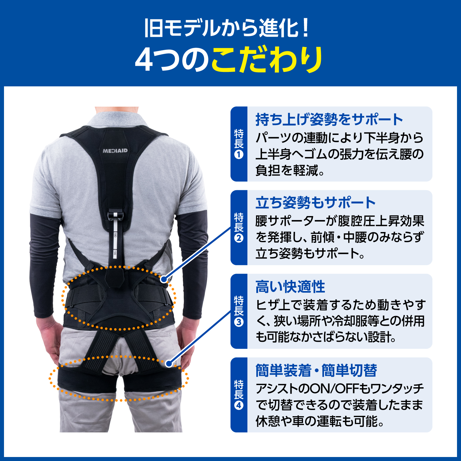 LP画像