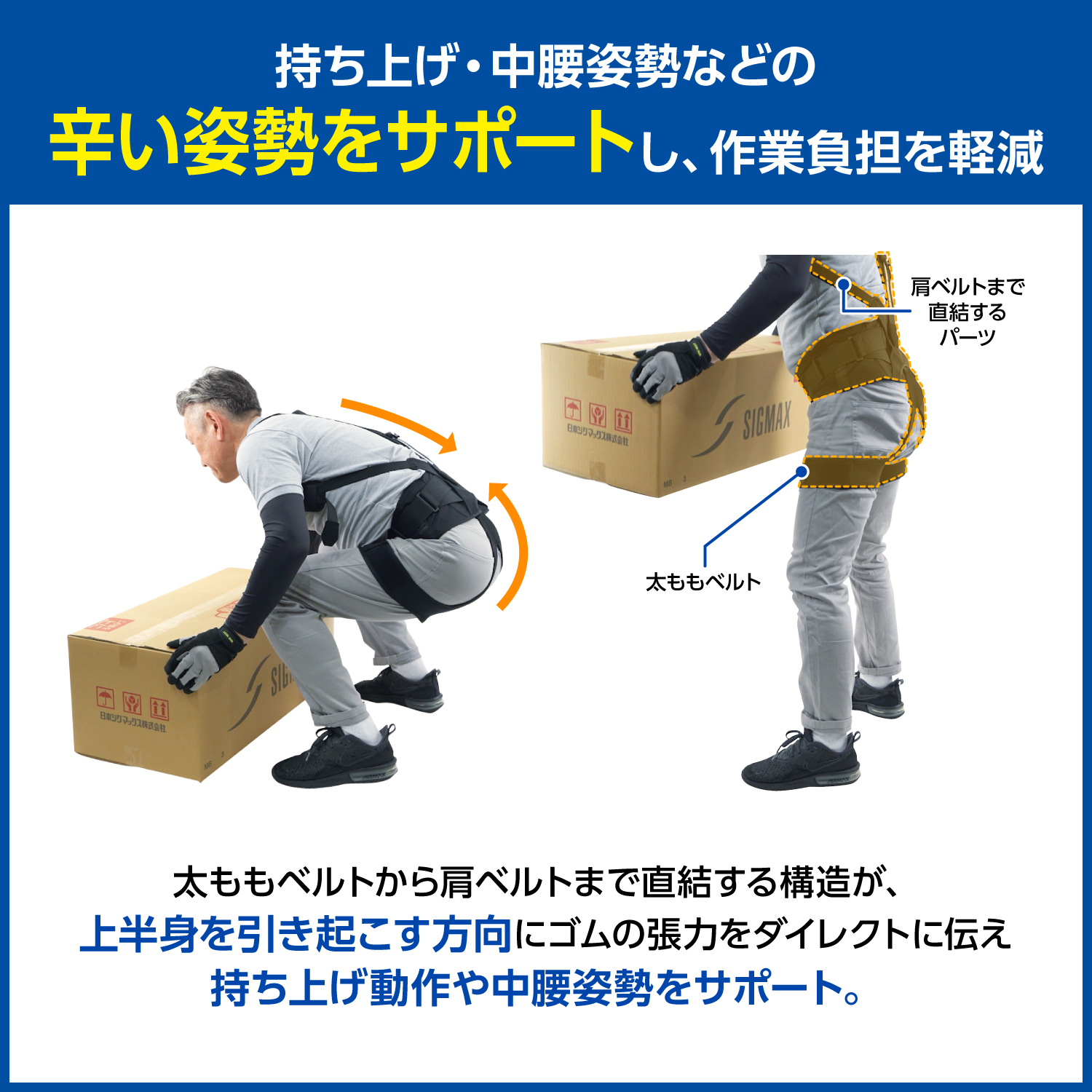 LP画像