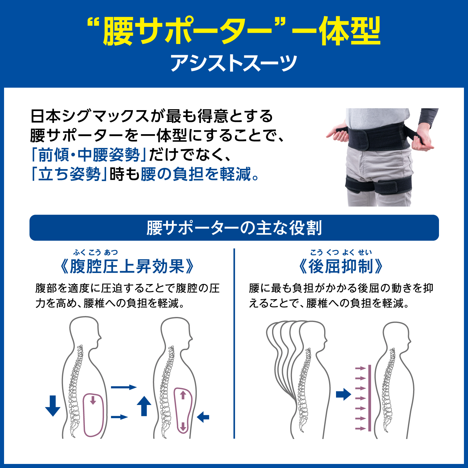 LP画像