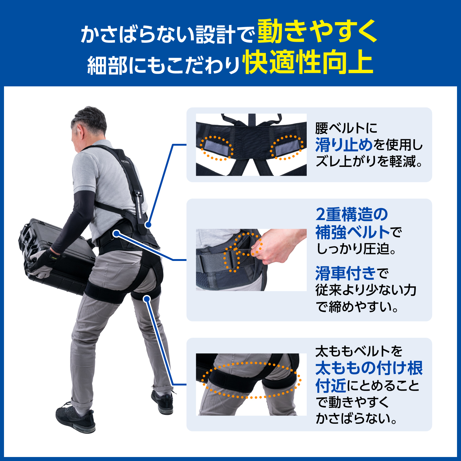LP画像