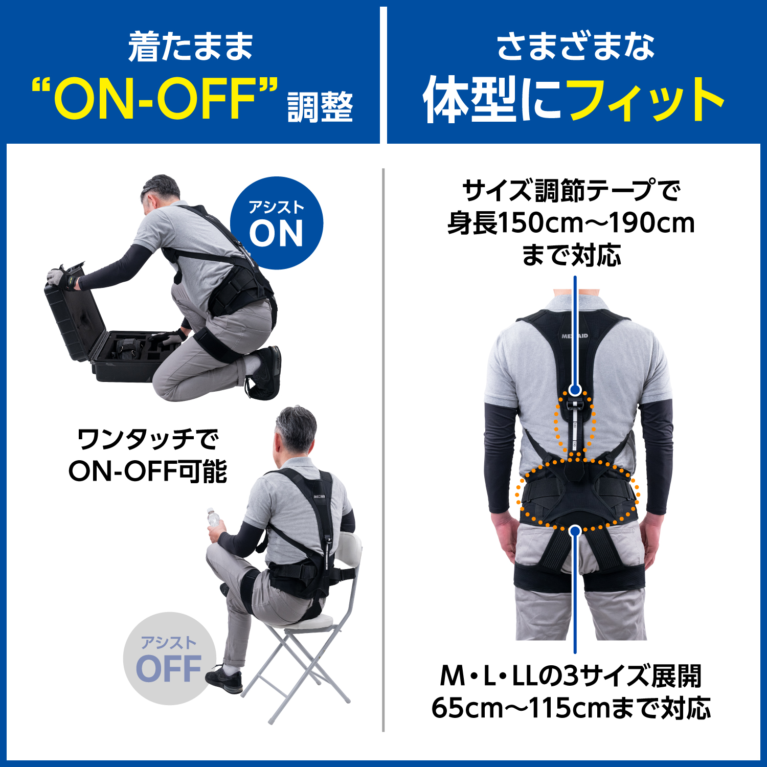 LP画像