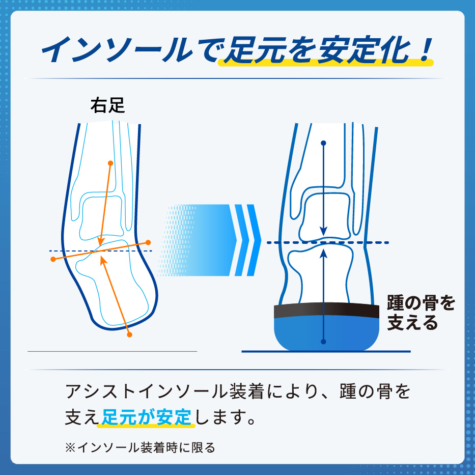 LP画像