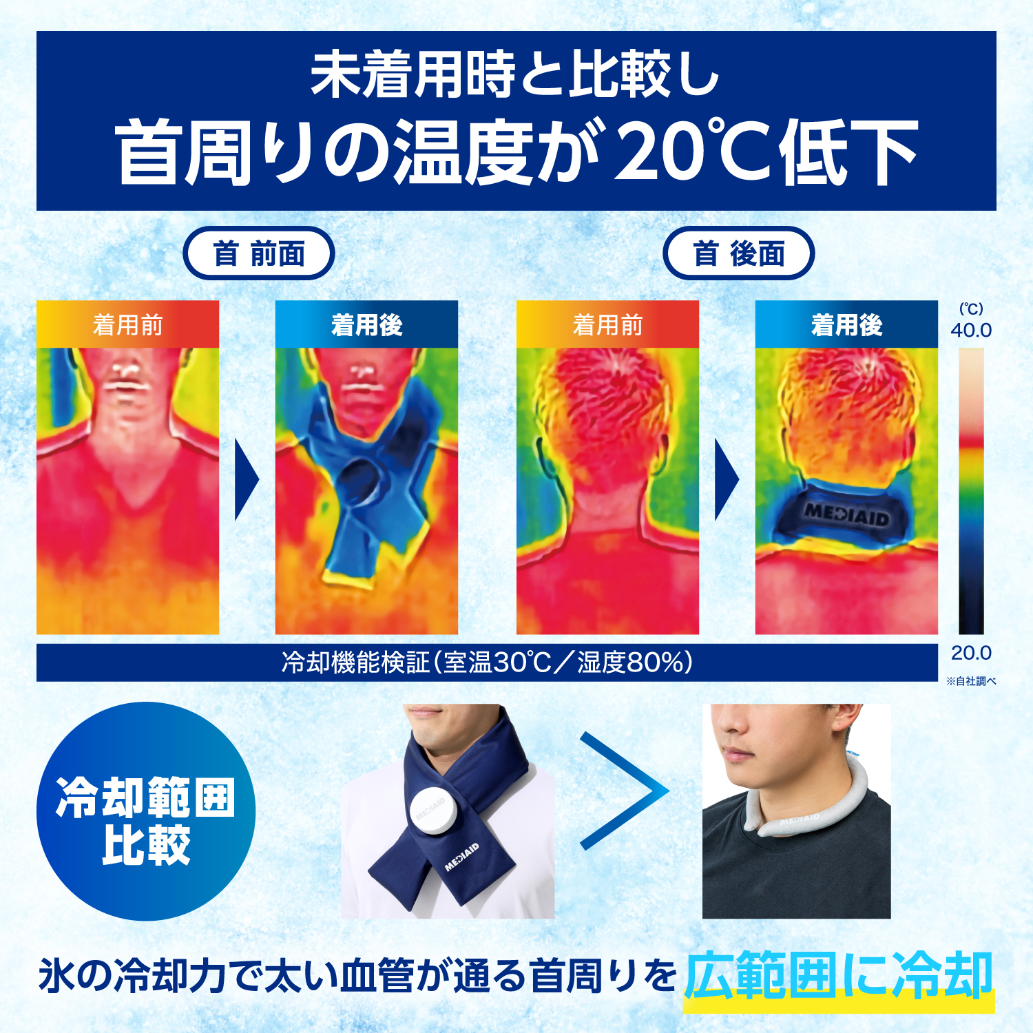 LP画像
