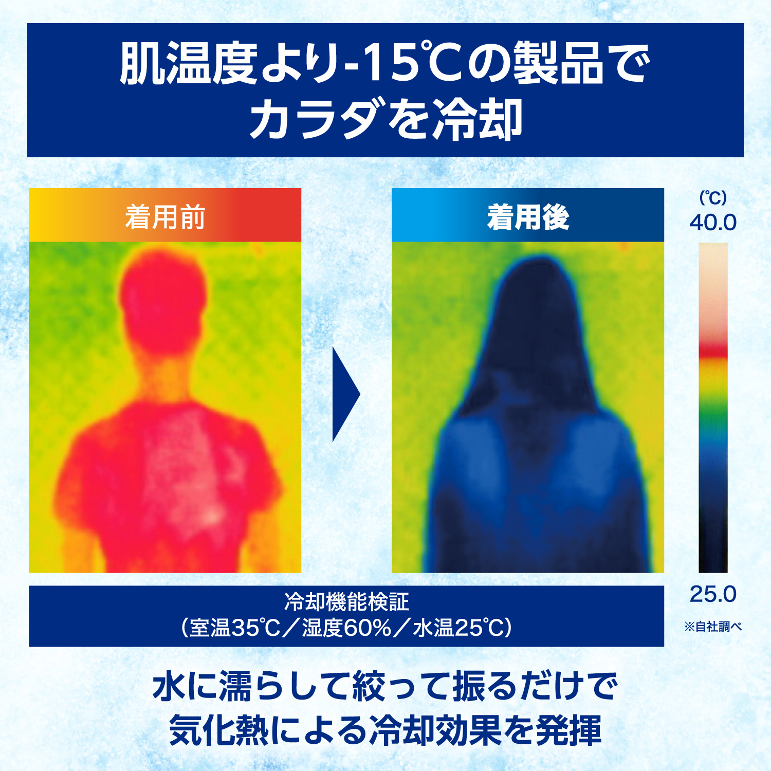 LP画像