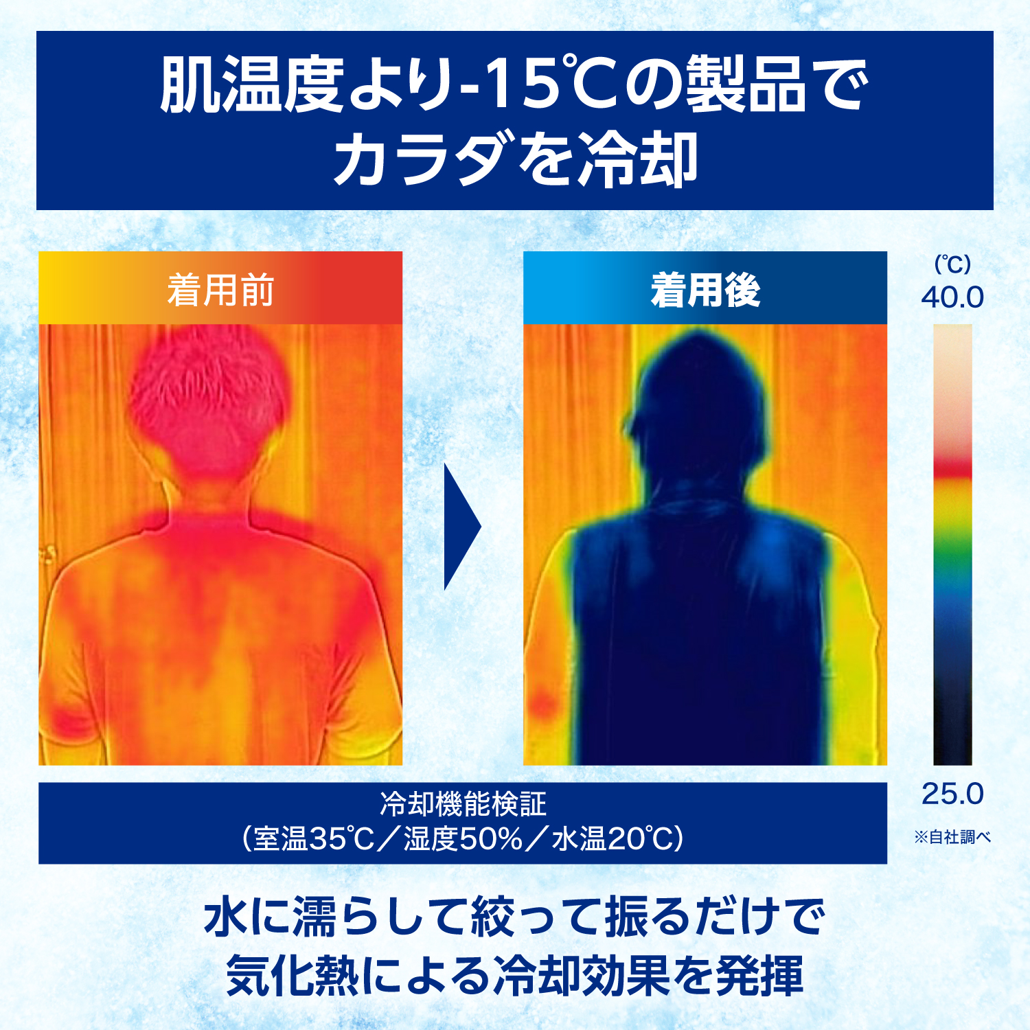 LP画像