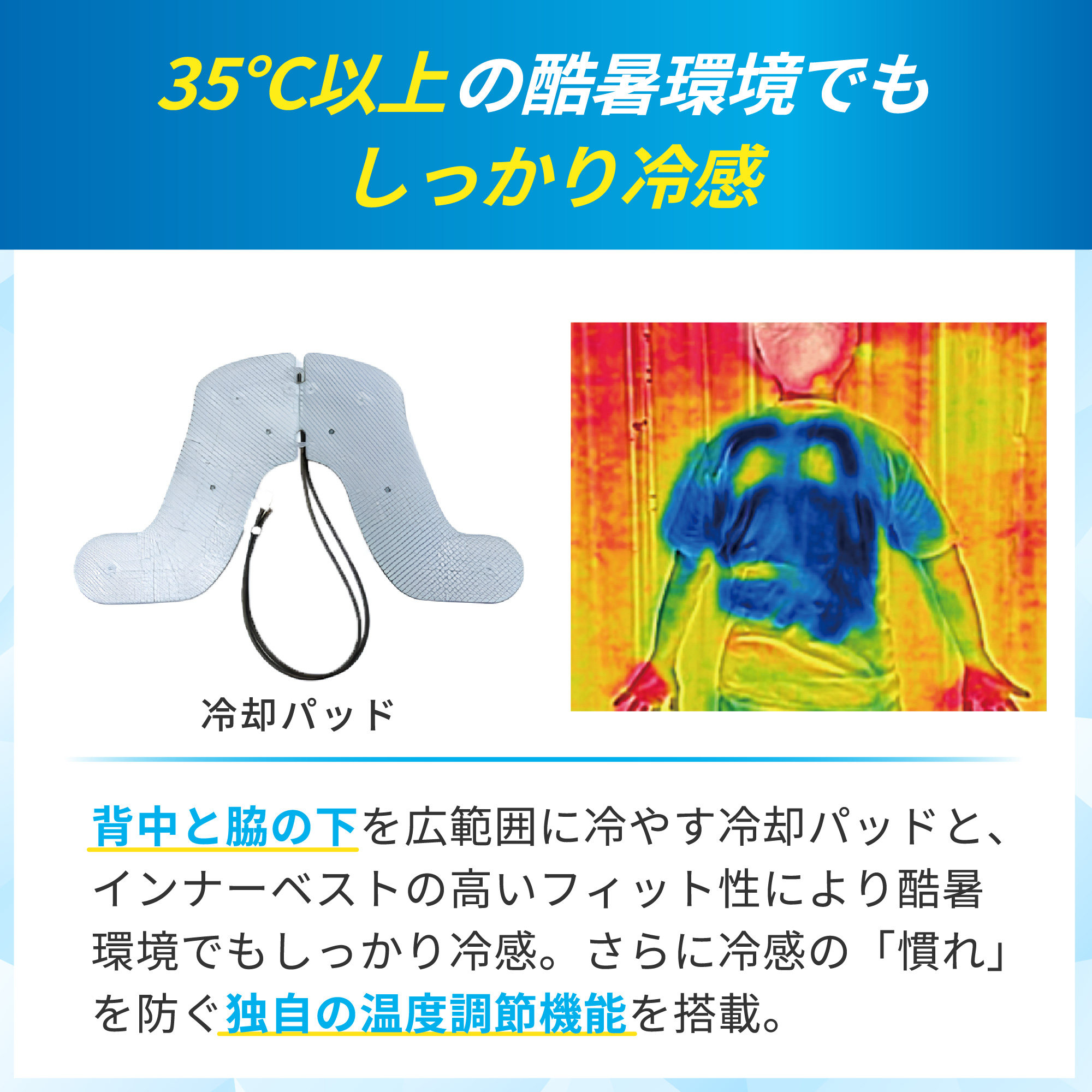 LP画像