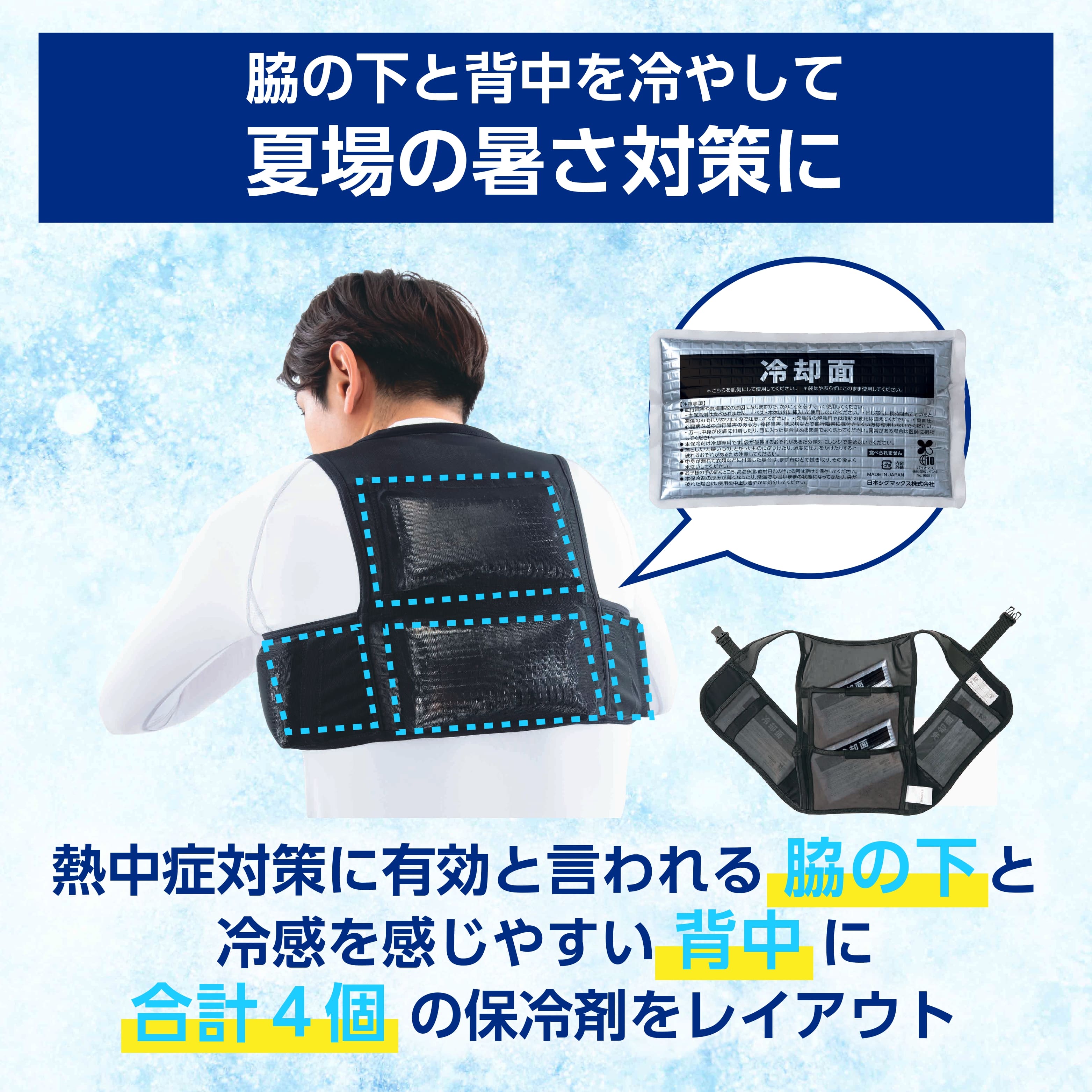 LP画像