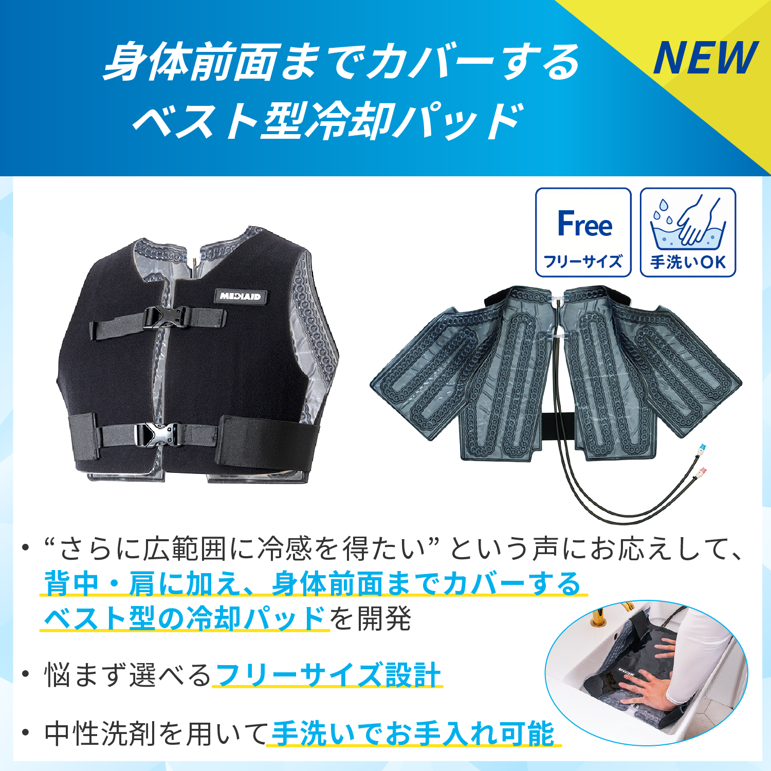 LP画像