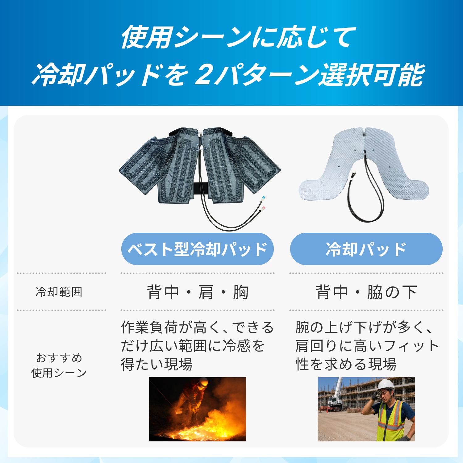 LP画像