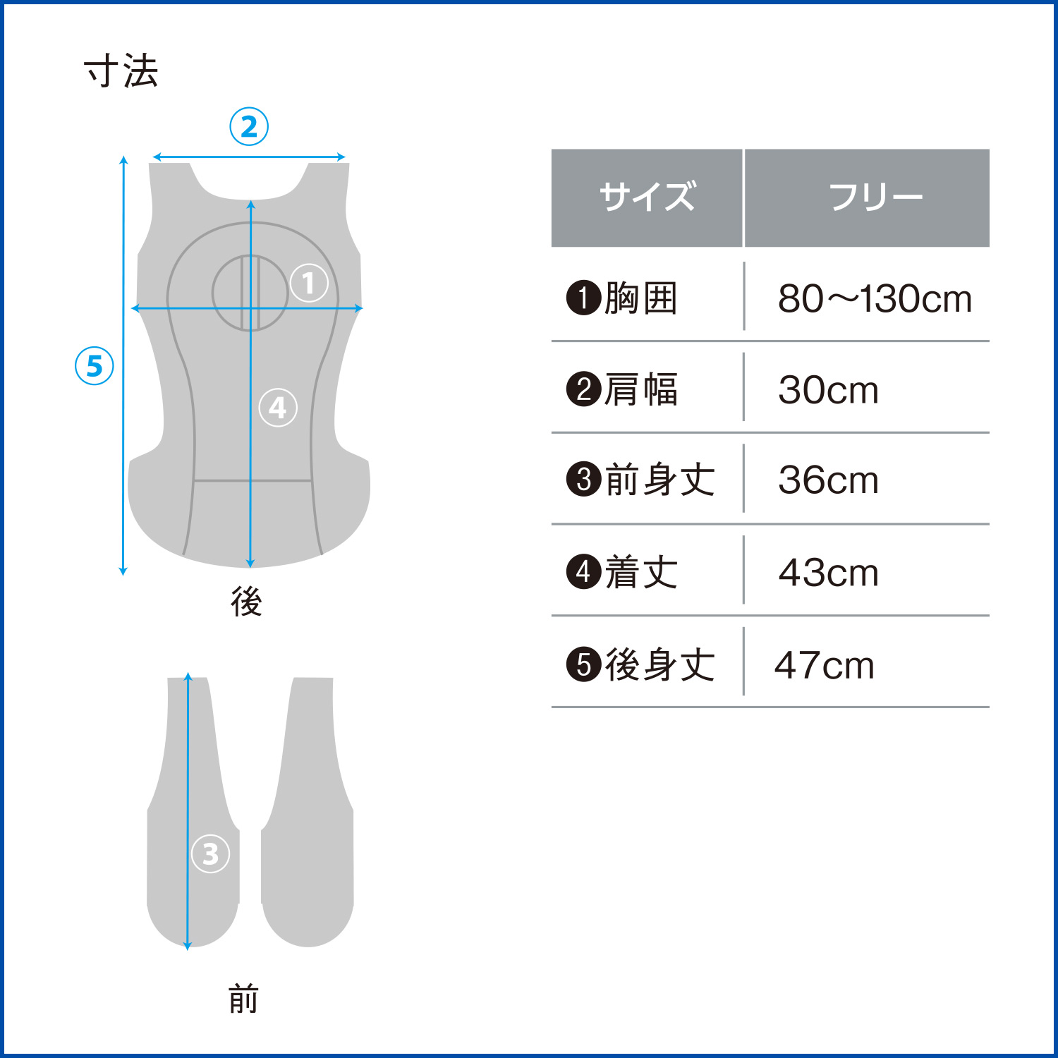 LP画像