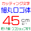 デザイン工房signsのカッティング文字