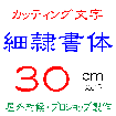 デザイン工房signsのカッティング文字