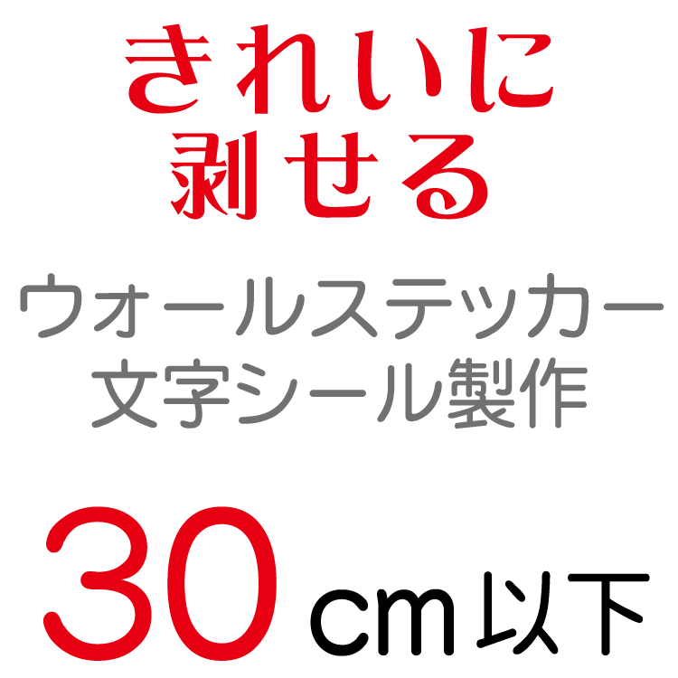 ウォールステッカー 文字 切り文字 シール