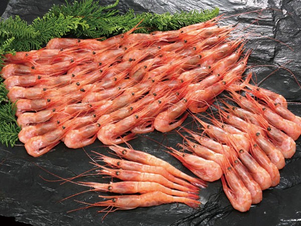 甘エビ （生冷凍・3L・ロシア産）1kg×1箱 : 旬をお取り寄せ・北海道