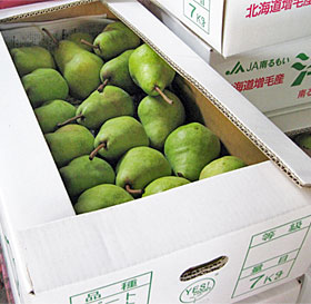 梨,ナシ,なし